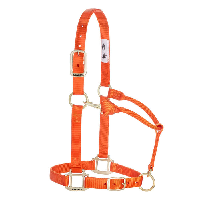 Large Horse Adjustable Nylon Halter