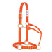 Large Horse Adjustable Nylon Halter