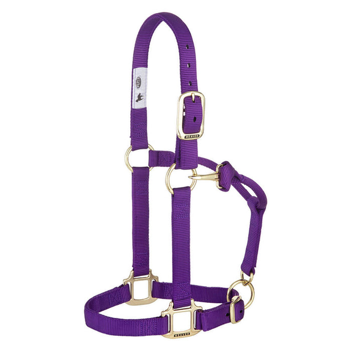 Large Horse Adjustable Nylon Halter