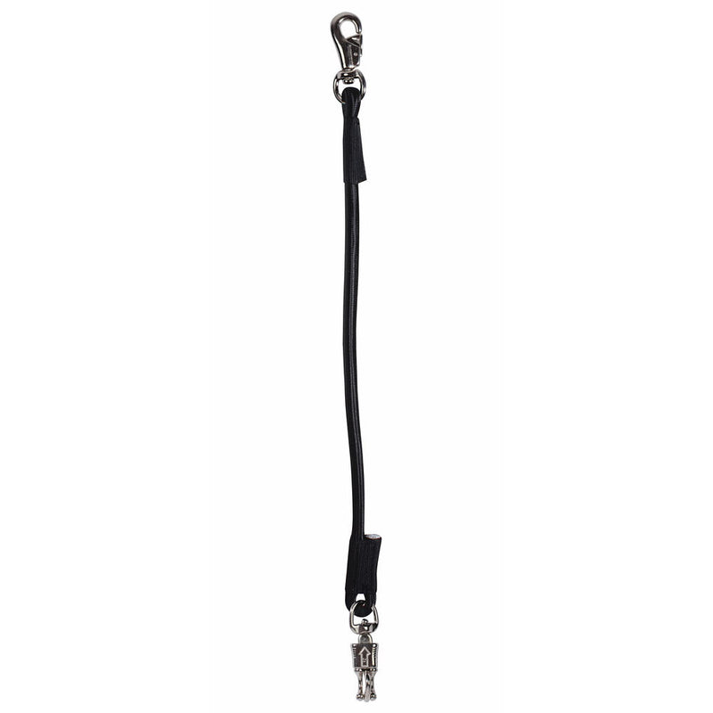 Trailer Tie Bungee