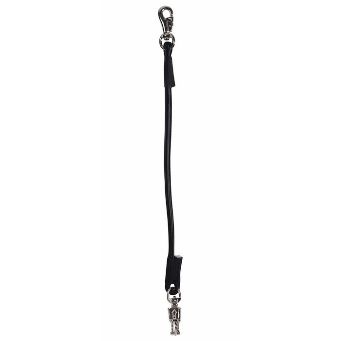 Trailer Tie Bungee