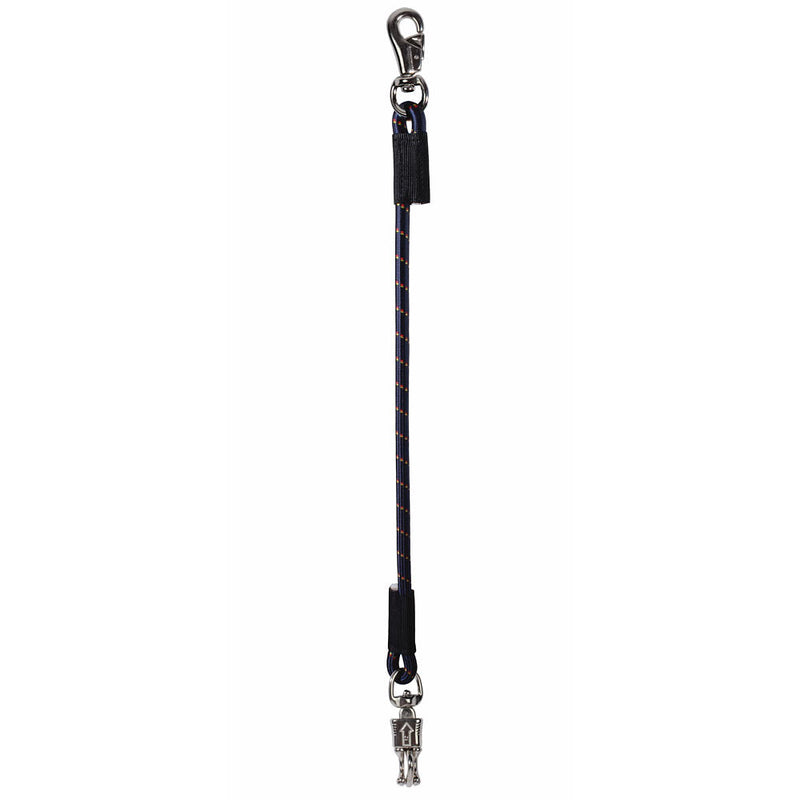 Trailer Tie Bungee