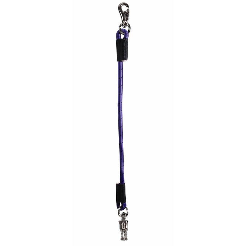 Trailer Tie Bungee