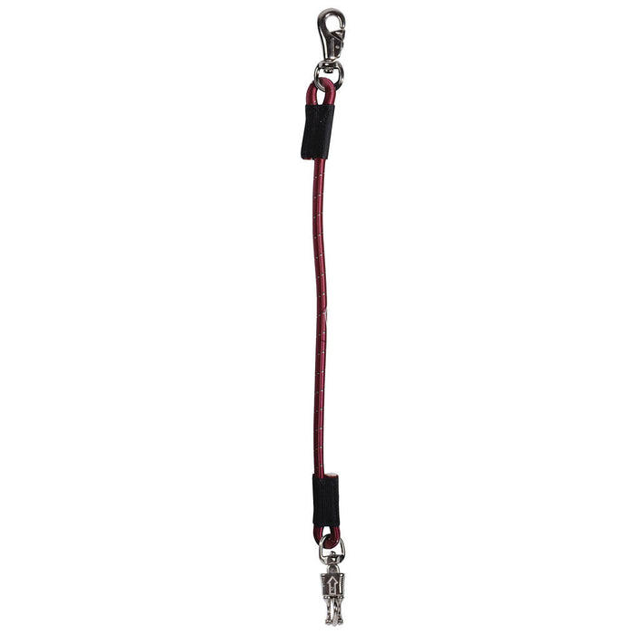 Trailer Tie Bungee