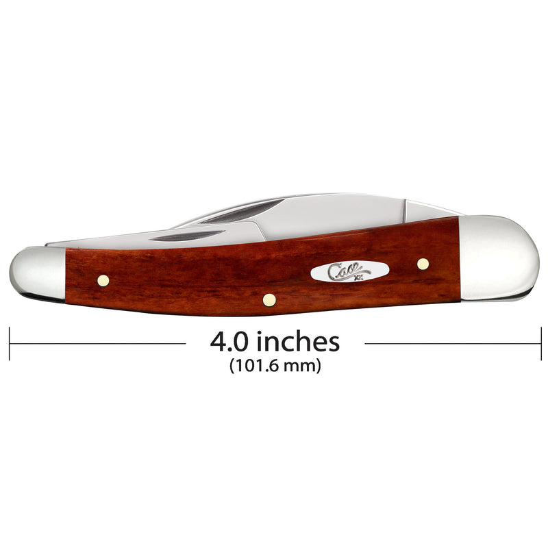 Case Chestnut Bone - Smooth Seahorse Whittler