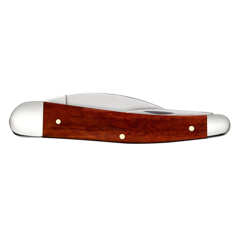 Case Chestnut Bone - Smooth Seahorse Whittler