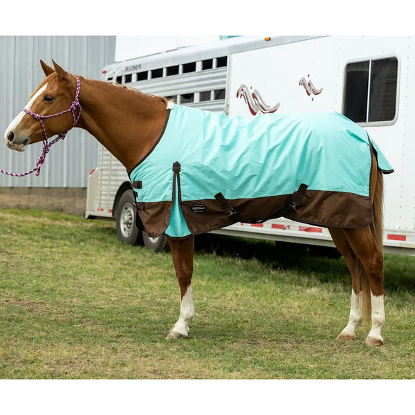 Standard 600D Winter 200G Fill Blanket