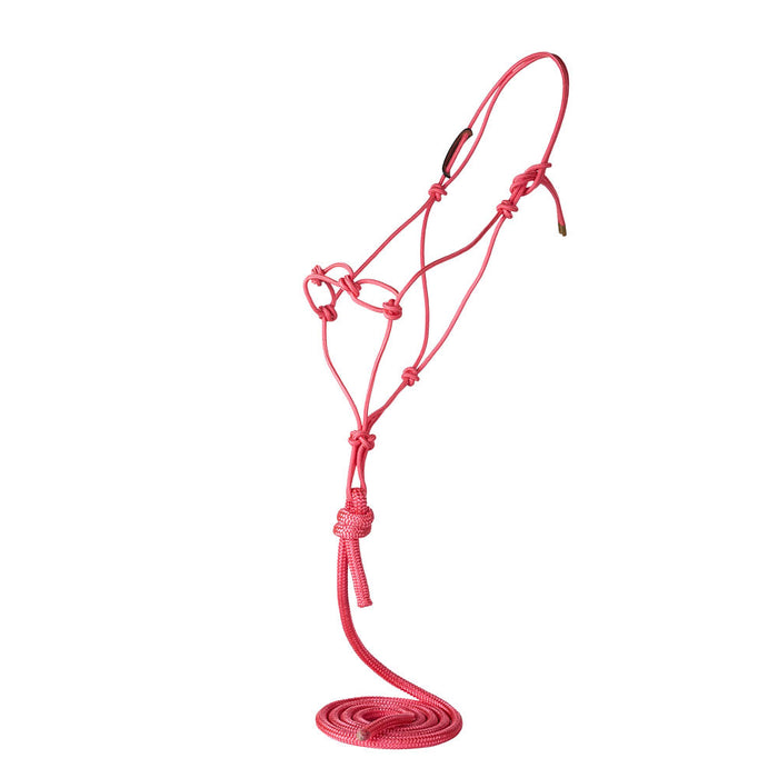 Chain Knot Rope Halter with Atatched Lead Rope