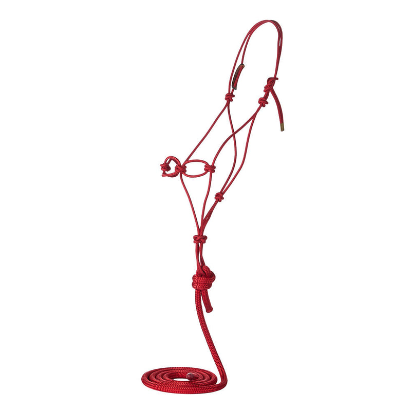 Chain Knot Rope Halter with Atatched Lead Rope