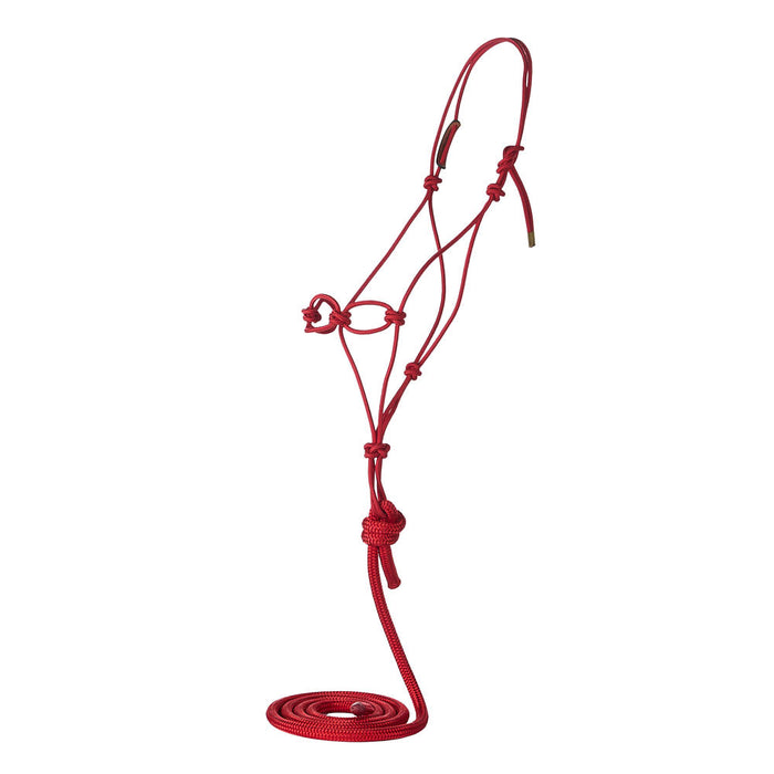 Chain Knot Rope Halter with Atatched Lead Rope