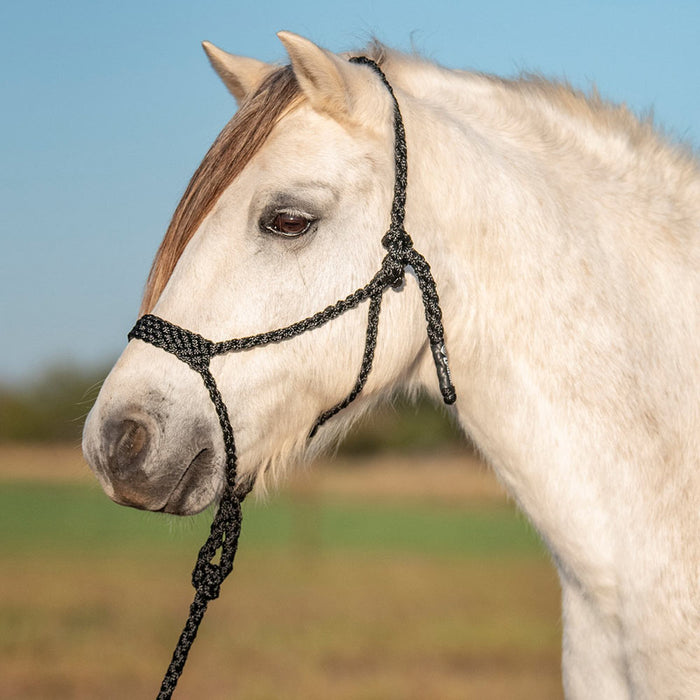 Cashel Company Flat Braided Pony Halter with 9ft Lead
