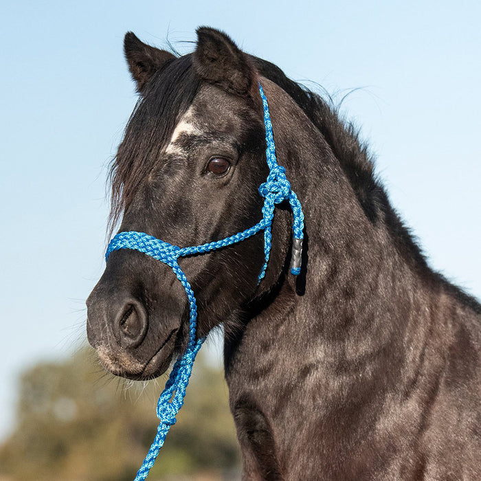 Cashel Company Flat Braided Pony Halter with 9ft Lead