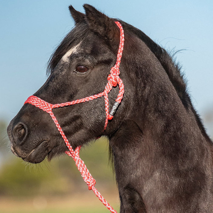 Cashel Company Flat Braided Pony Halter with 9ft Lead