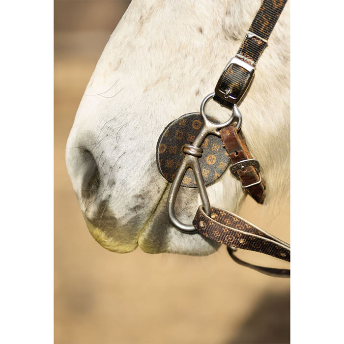 Schulz Equine Patterned Bit Guards