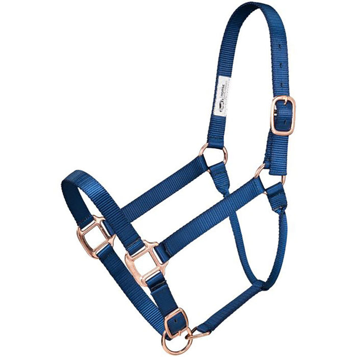 Nylon Halter with Rose Gold Hardware and Lead Rope