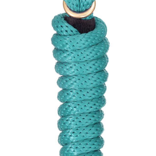 Poly Lead Rope with Snap