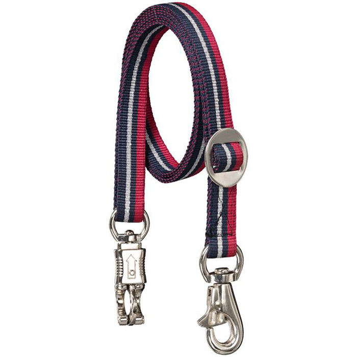 Tri-Colored Metallic Cross Tie