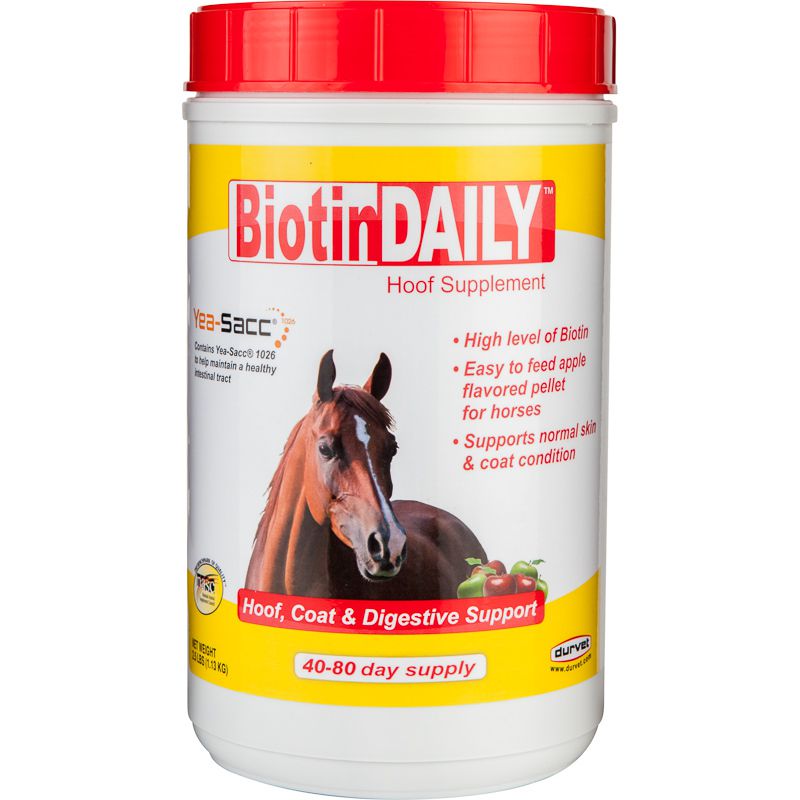 BiotinDAILY 2.5lb