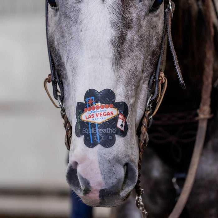 Equibreath Equine Nasal Patch