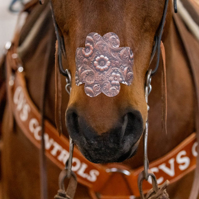 Equibreath Equine Nasal Patch
