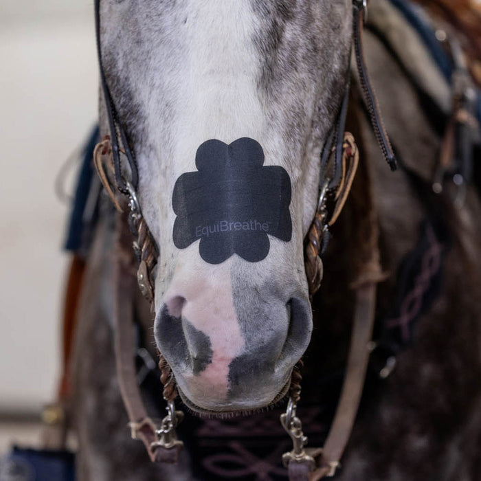 Equibreath Equine Nasal Patch