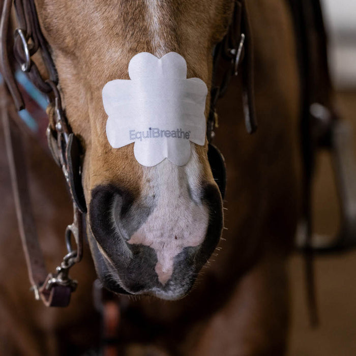 Equine Nasal Patch