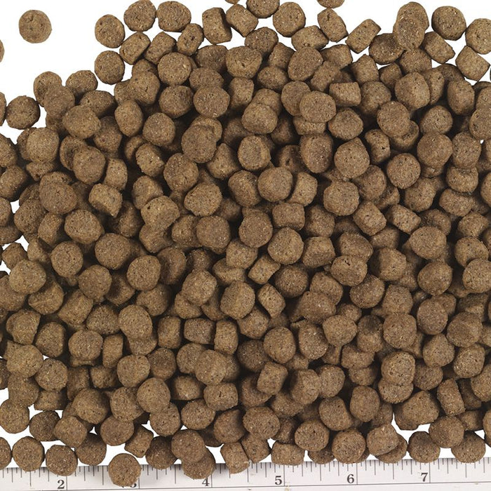 Pmi Nutrition Exclusive All Life Stages Lamb Brown Rice