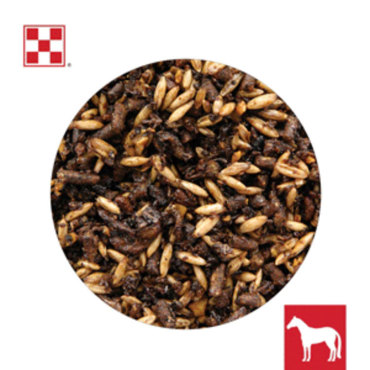 Purina Animal Nutrition Race Ready Horse Feed