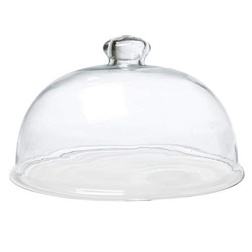Creative Brands Glass Dome with Carved Base