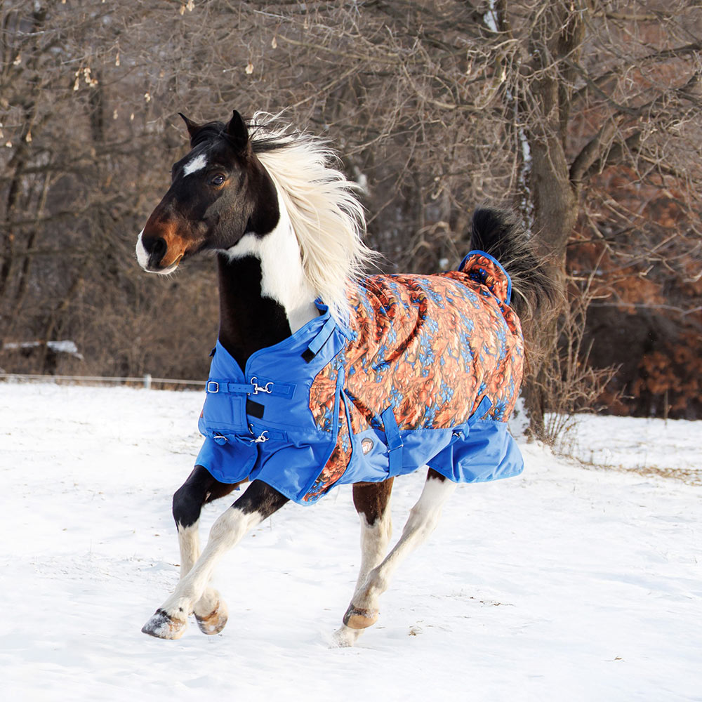 Tough 1 1200D Hand Carved Royal Blue Winter Turnout Snuggit Horse