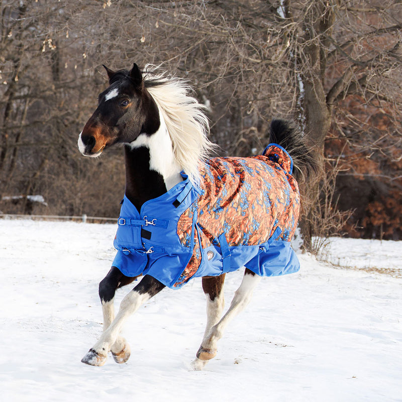 Tough 1 1200D Hand Carved Royal Blue Winter Turnout Snuggit Horse Blanket