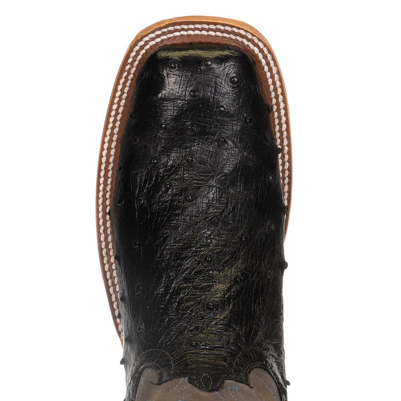 Anderson Bean Women's Black Full Quill Ostrich with Smoked Bacon Top