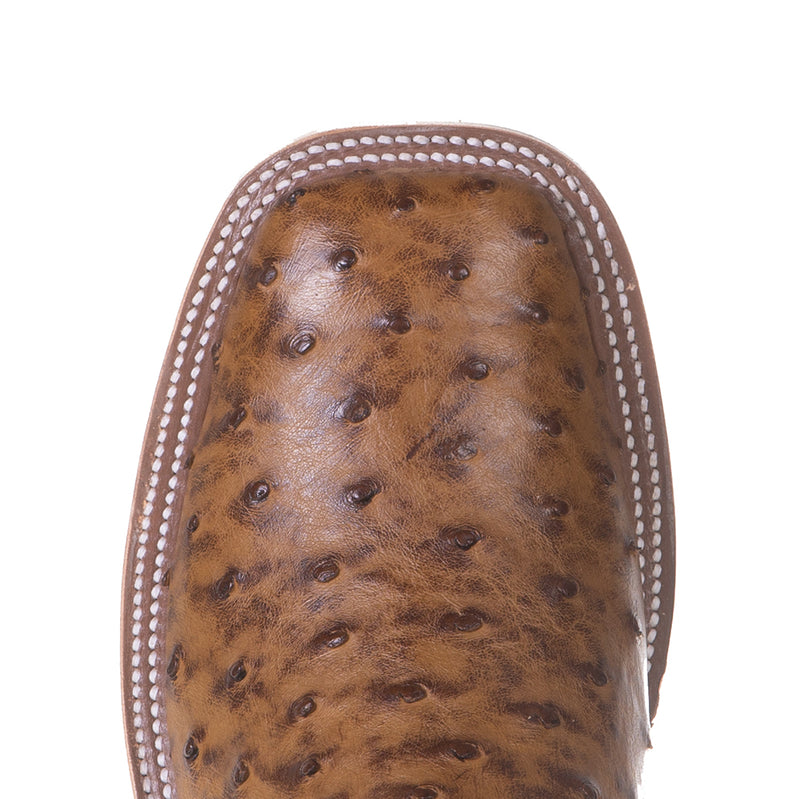 Anderson Bean Men's Ride Ready Terra Vintage Full Quill Ostrich 13in.Chocolate Top