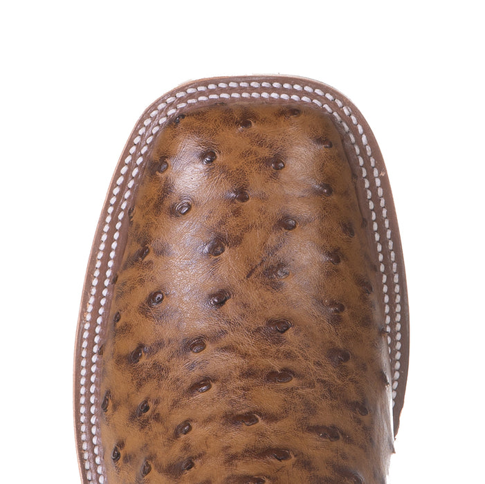 Anderson Bean Men's Ride Ready Terra Vintage Full Quill Ostrich 13in.Chocolate Top