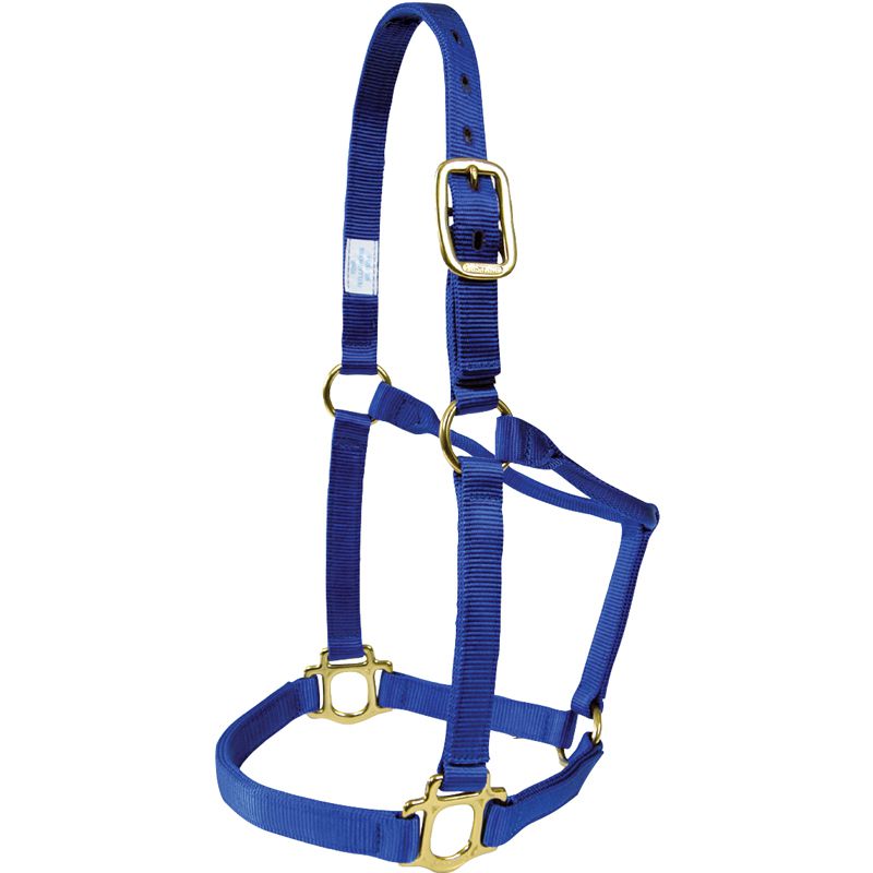 Large Traditional Nylon Halter