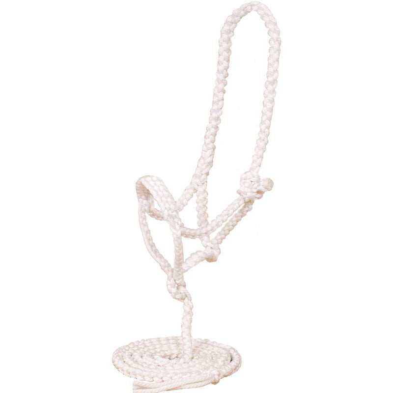 Flat Nose Braided Halter