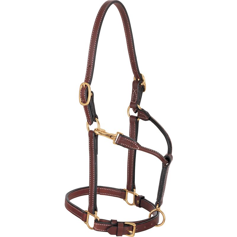 Double Buckle Crown Cob Halter