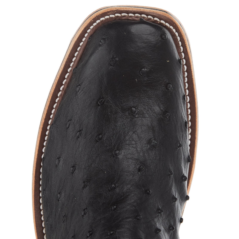 Anderson Bean Women`s AB Ride Ready Black FQ Ostrich Vamp 15In Castle Rock Buffamonte Top