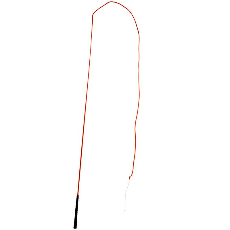Lunge with Rubber Handle