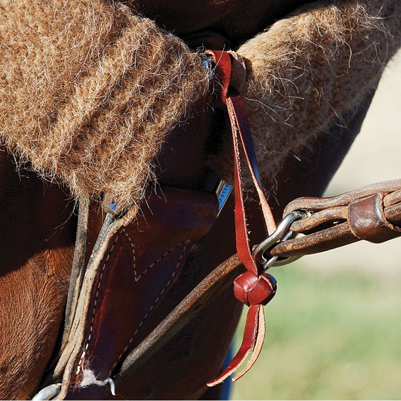 Leather Tiedown Hobble with Knot
