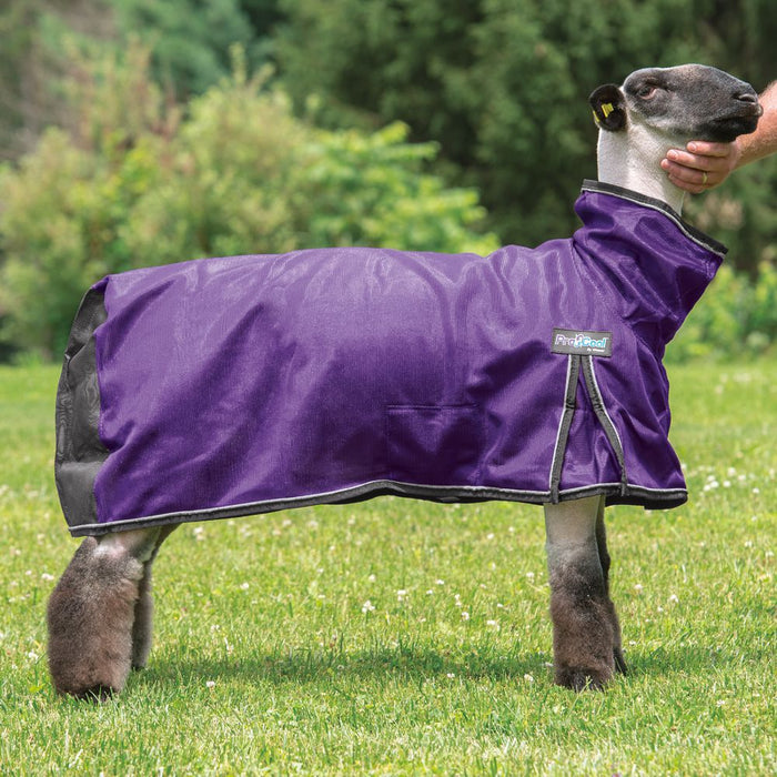 Weaver Leather ProCool Mesh Sheep Blanket Medium Purple