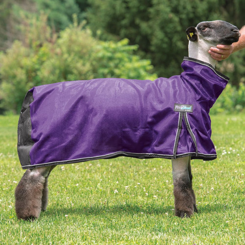 Weaver Leather Leather ProCool Mesh Sheep Blanket XLarge Purple