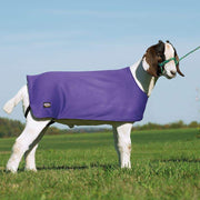 Weaver Leather Leather Medium Purple Underblanket