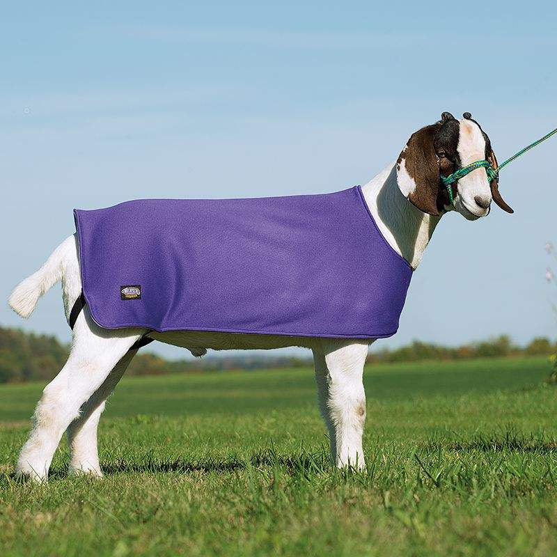 Weaver Leather Leather Medium Purple Underblanket