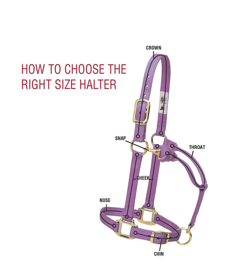 Weaver Equine Lost Creek Nylon Adjustable Horse Halter