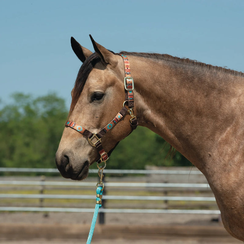 Weaver Leather Lost Creek Nylon Adjustable Horse Halter