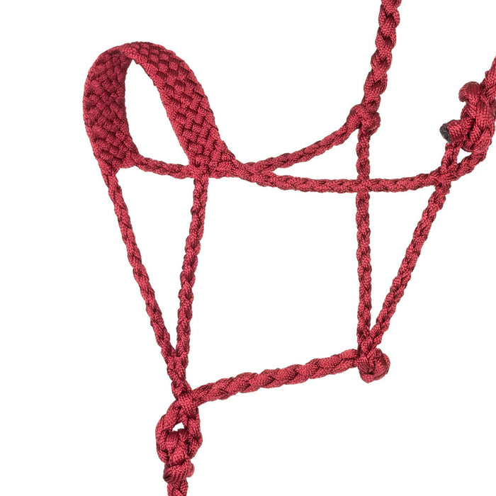 Weaver Leather Dark Red Braided Halter with Lead