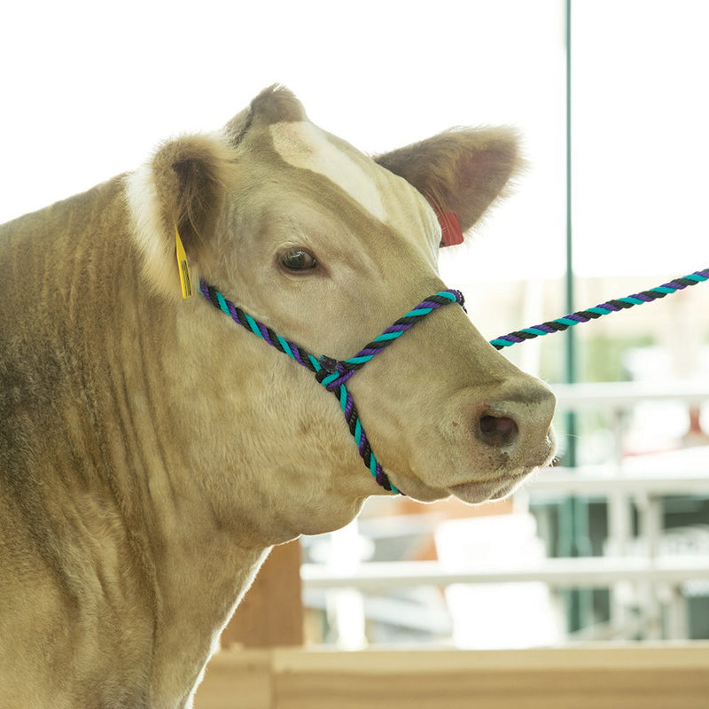 Weaver Livestock Leather Poly Rope Halter Cow