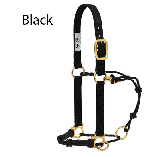 Weaver Leather Kalley Krickeberg Horseman's Halters with Slide Ring