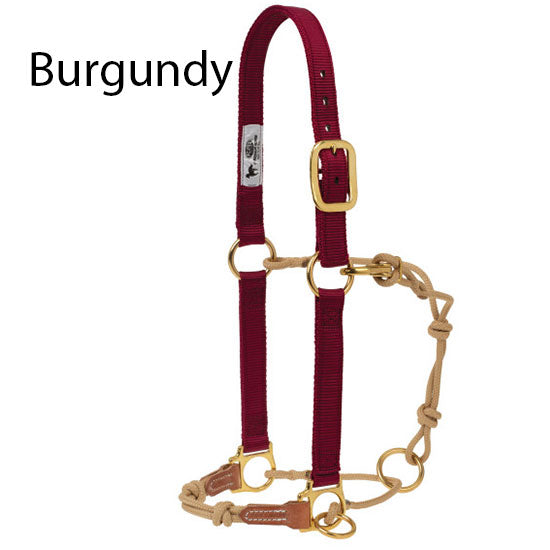 Weaver Leather Kalley Krickeberg Horseman's Halters with Slide Ring